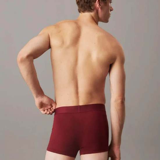 Calvin Klein Ανδρικό εσώρουχο Boxer Trunks - CK Established